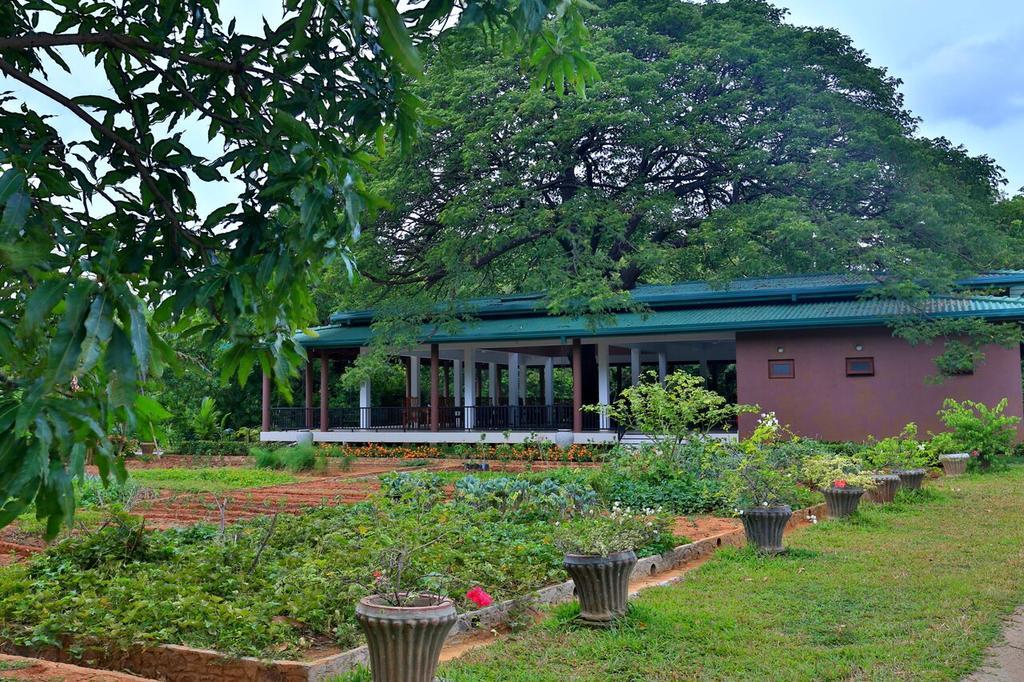 Grand & Gangula Hotel Dambulla Ngoại thất bức ảnh