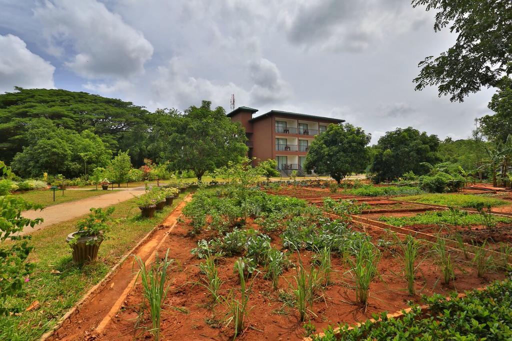 Grand & Gangula Hotel Dambulla Ngoại thất bức ảnh