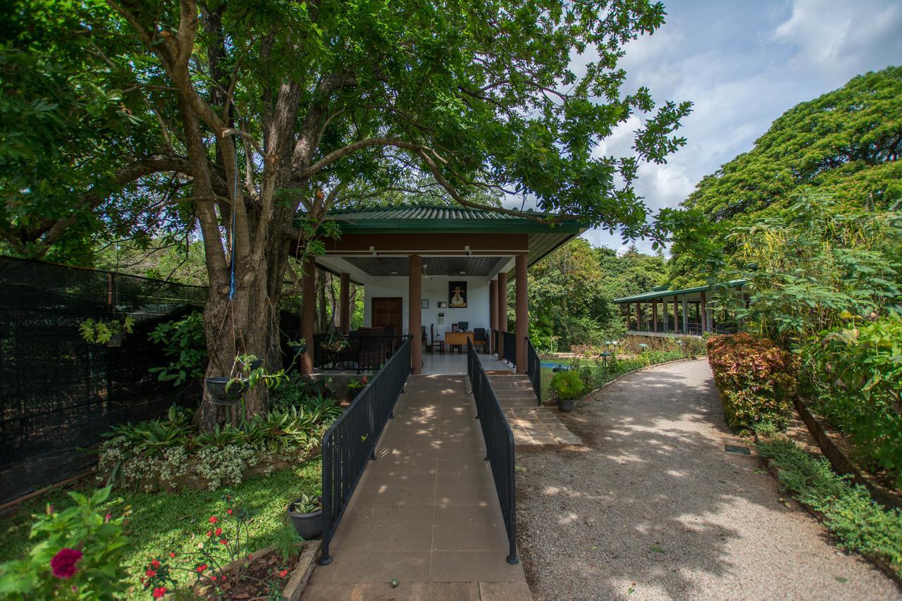 Grand & Gangula Hotel Dambulla Ngoại thất bức ảnh