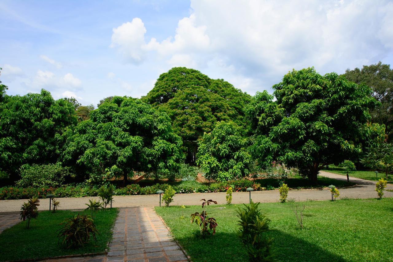 Grand & Gangula Hotel Dambulla Ngoại thất bức ảnh