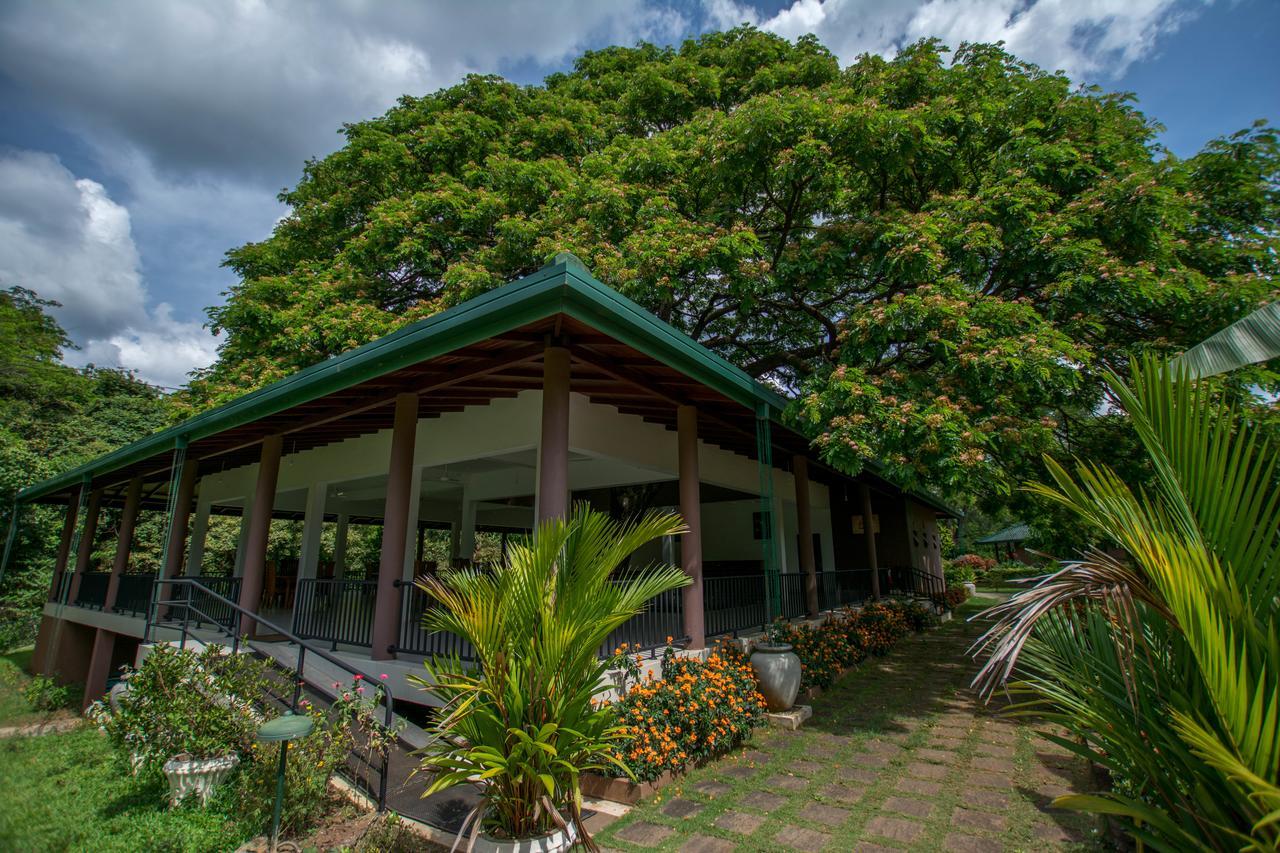 Grand & Gangula Hotel Dambulla Ngoại thất bức ảnh