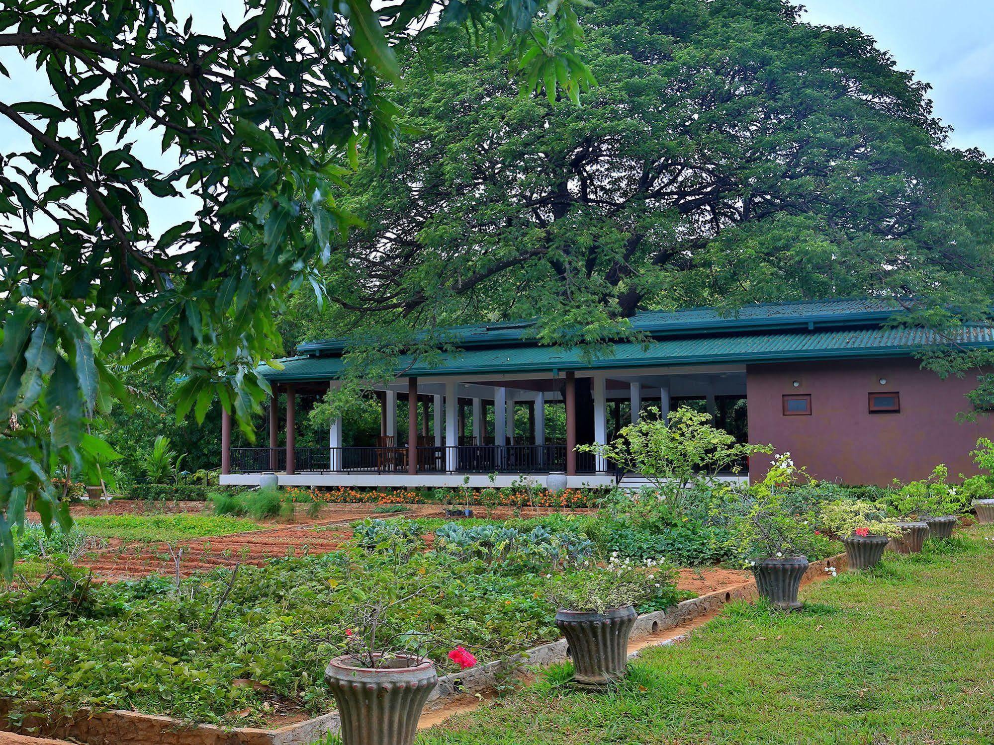 Grand & Gangula Hotel Dambulla Ngoại thất bức ảnh