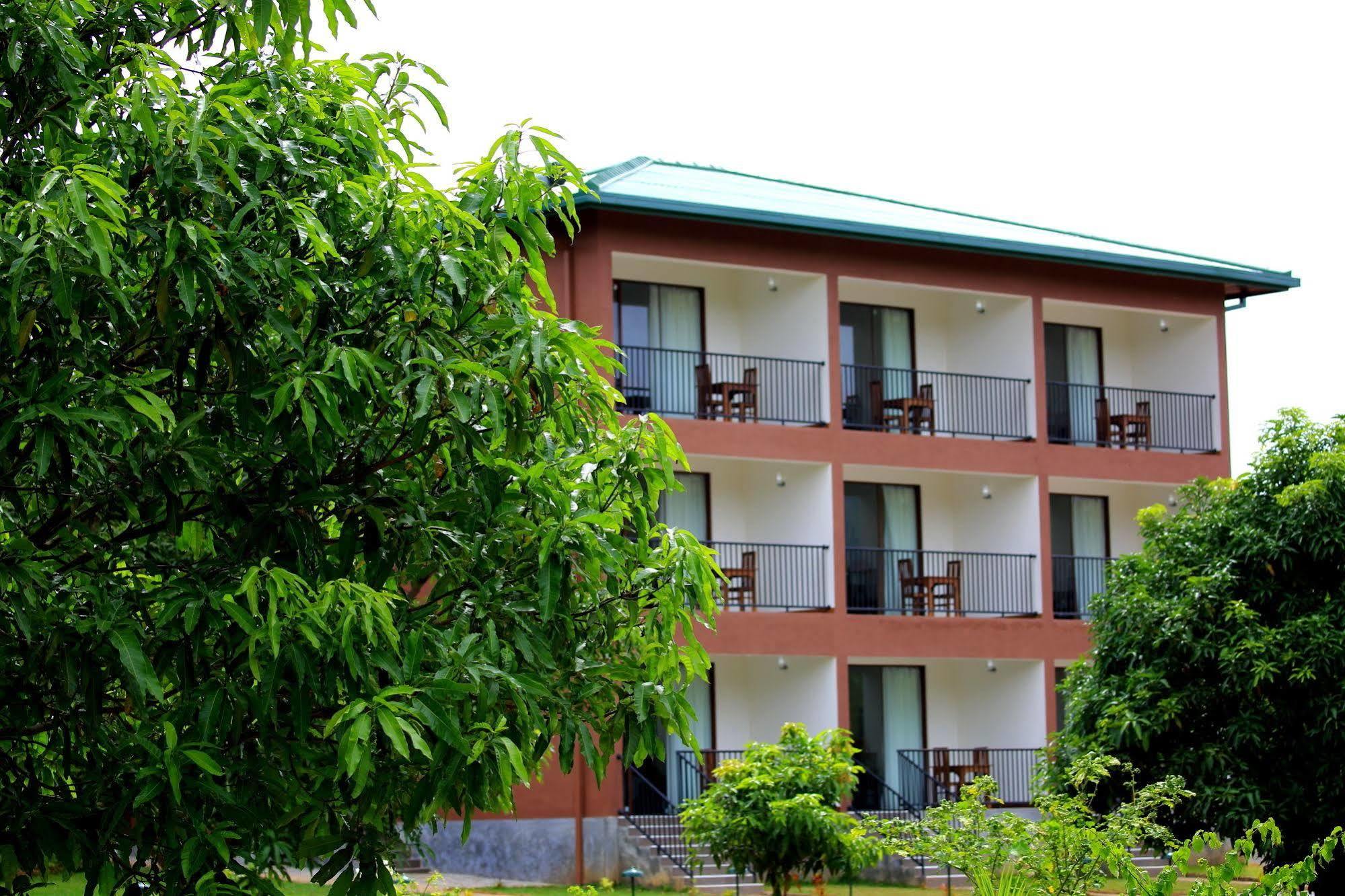 Grand & Gangula Hotel Dambulla Ngoại thất bức ảnh