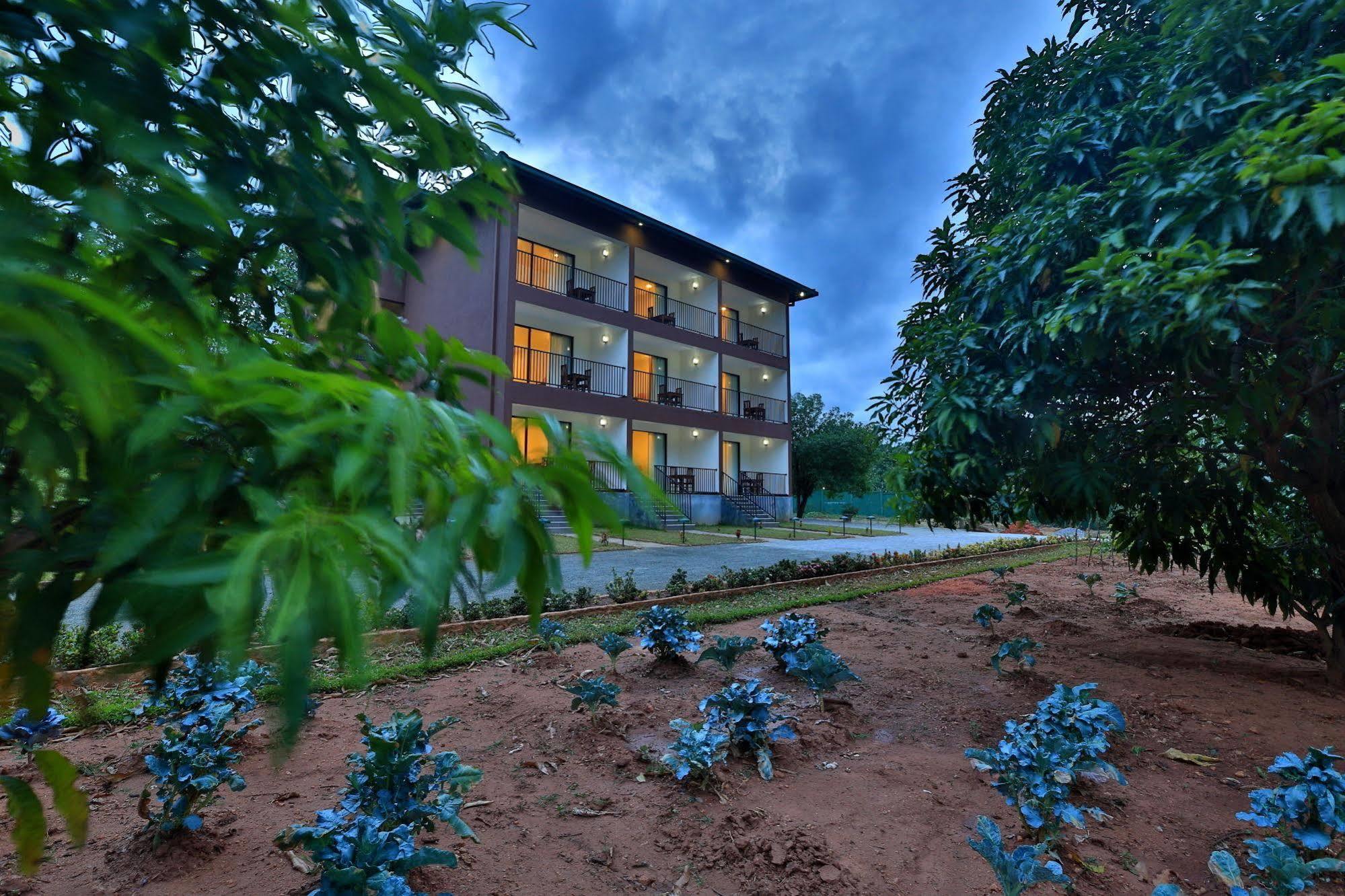 Grand & Gangula Hotel Dambulla Ngoại thất bức ảnh