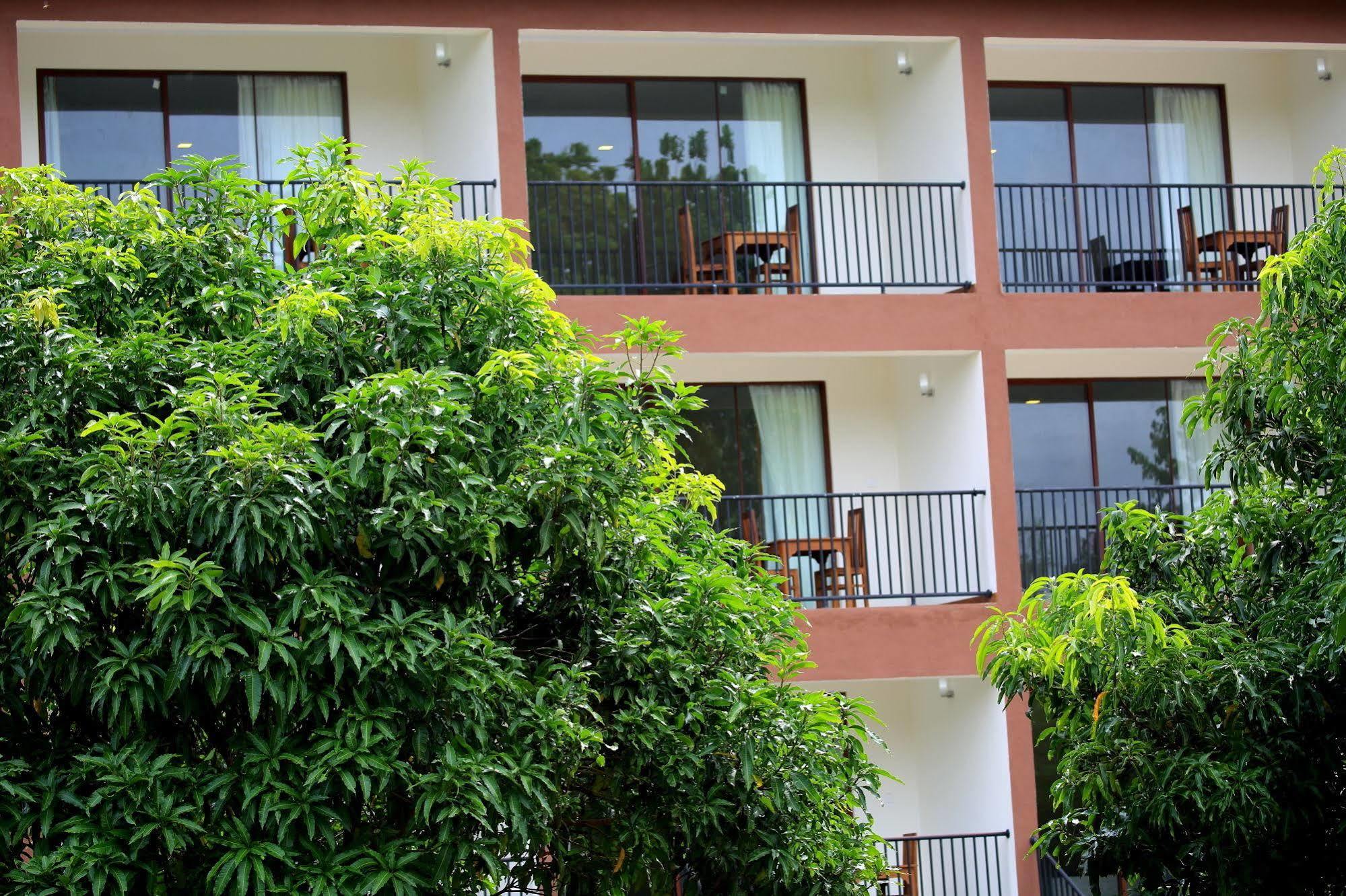 Grand & Gangula Hotel Dambulla Ngoại thất bức ảnh