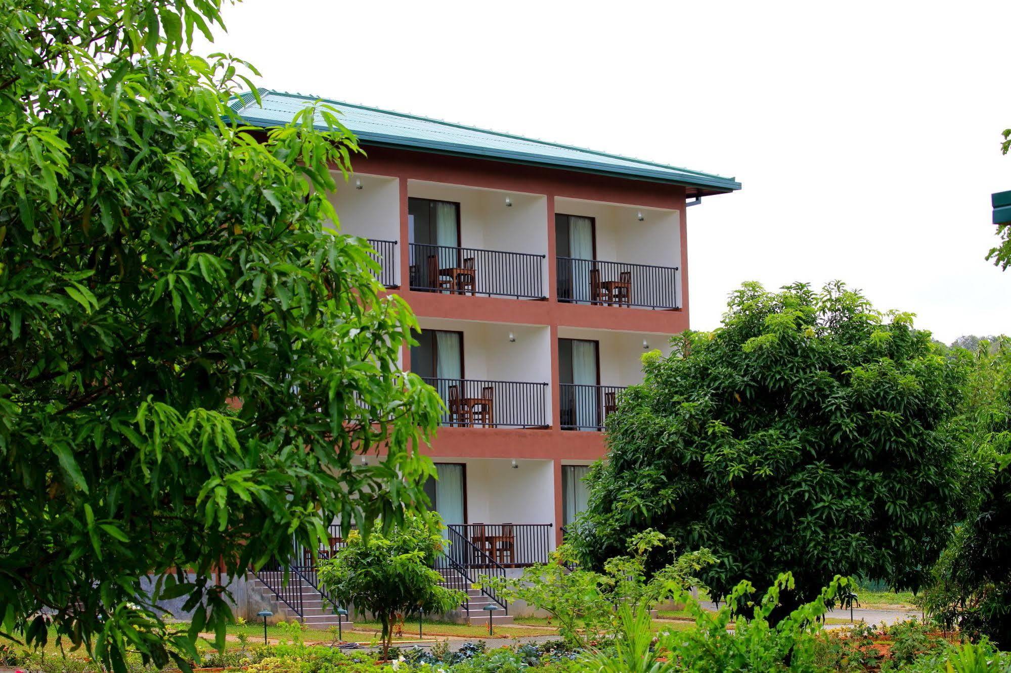 Grand & Gangula Hotel Dambulla Ngoại thất bức ảnh