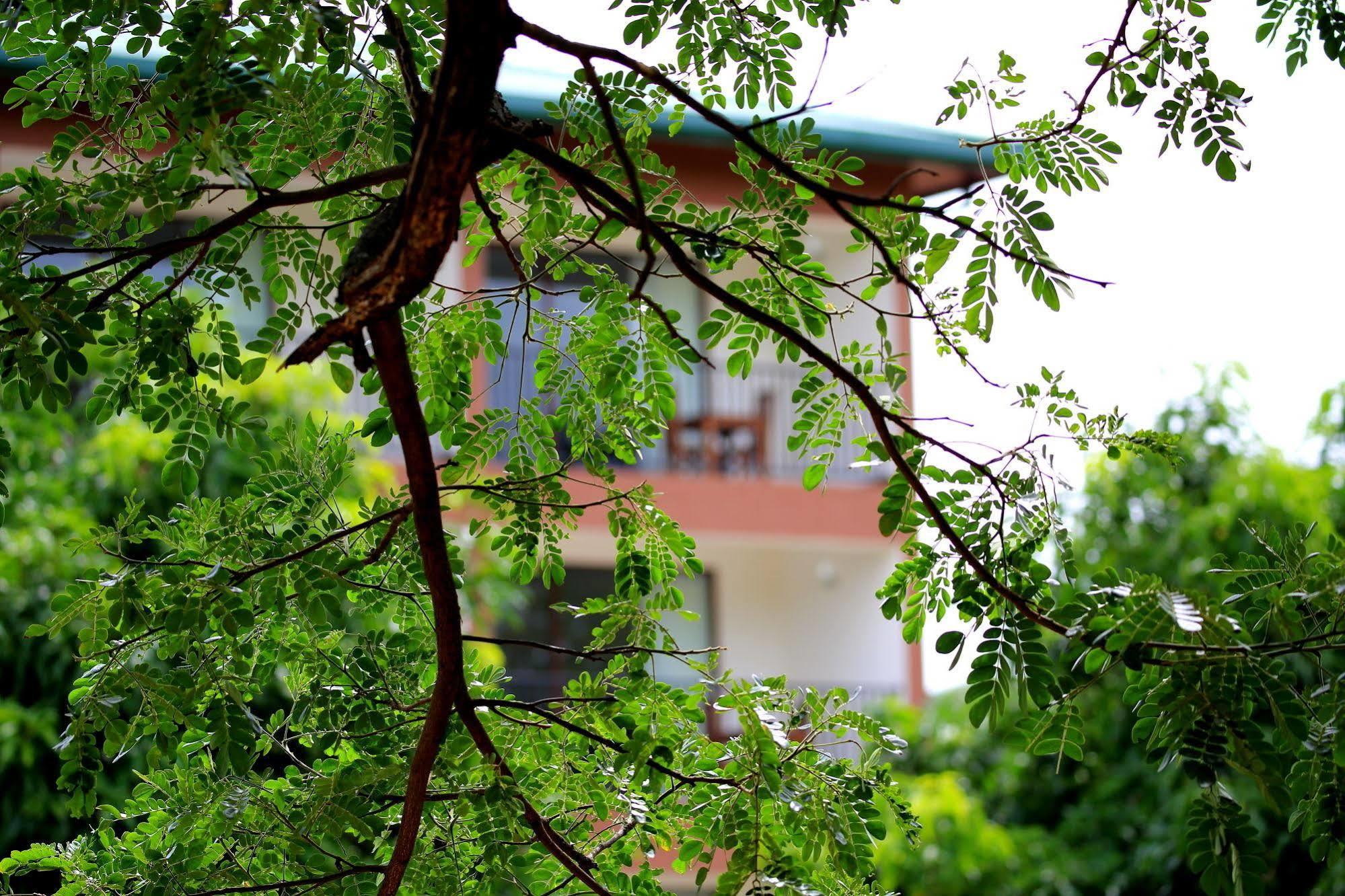 Grand & Gangula Hotel Dambulla Ngoại thất bức ảnh