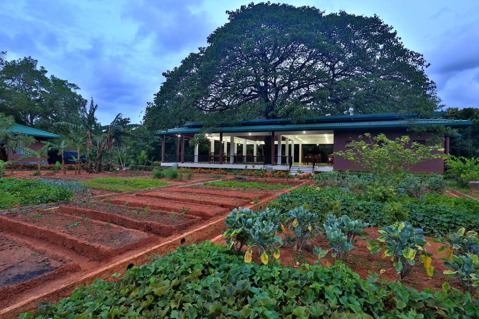 Grand & Gangula Hotel Dambulla Ngoại thất bức ảnh